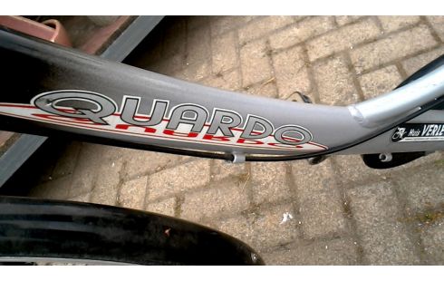 DAMESFIETS QUARDO GRIJS