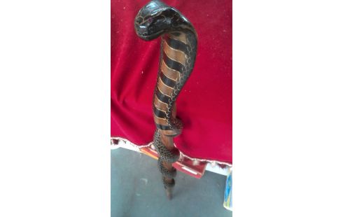 WANDERSTOCK, , HOLZ COBRA SCHLAUCH