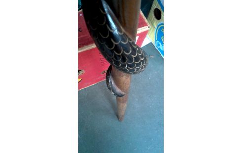 WANDERSTOCK, , HOLZ COBRA SCHLAUCH