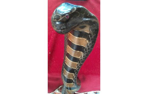 WANDERSTOCK, , HOLZ COBRA SCHLAUCH