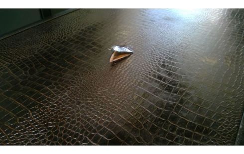 MALLE DE CABINE EN L'ETAT