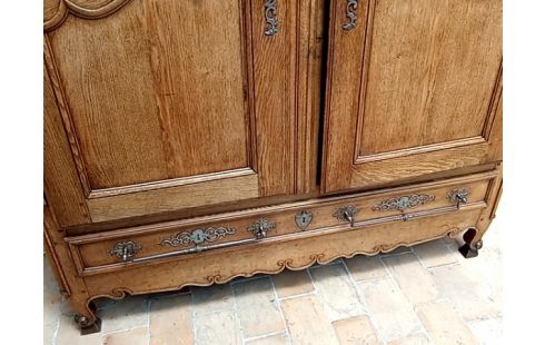 LINGERE 19e chene magnifique à voir absolument