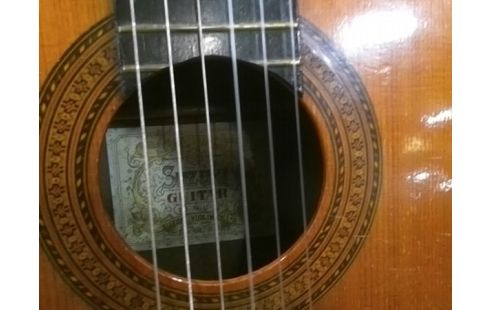 GUITARE SUZUKI