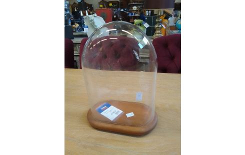 CLOCHE EN VERRE SOCLE BOIS