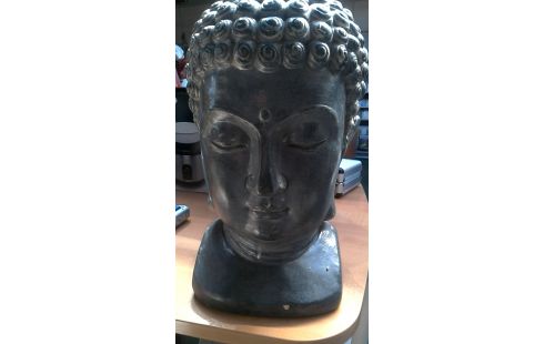 BEELD OOSTERS GRIJS PLAASTER