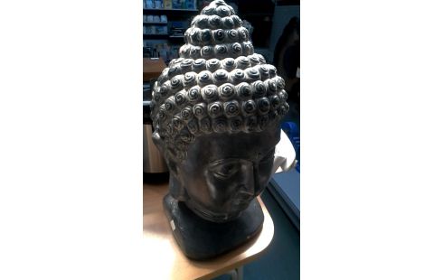 BEELD OOSTERS GRIJS PLAASTER