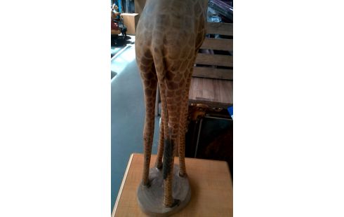 ESTATUA, , MADERA GRANDE