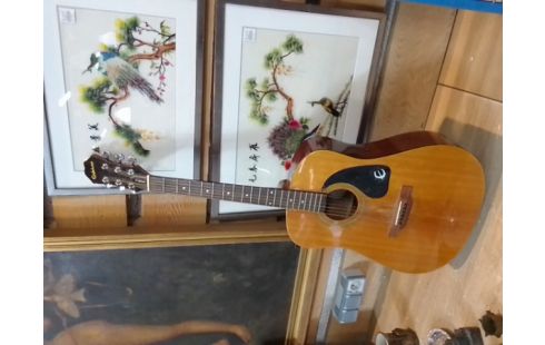 GUITARE SÈCHE EPIPHONE