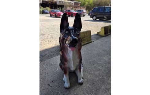 66 STATUE CHIEN BERGER 90CM