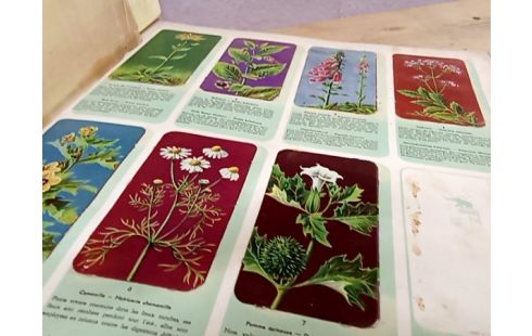 LIVRE CHOCOLAT COTE D'OR