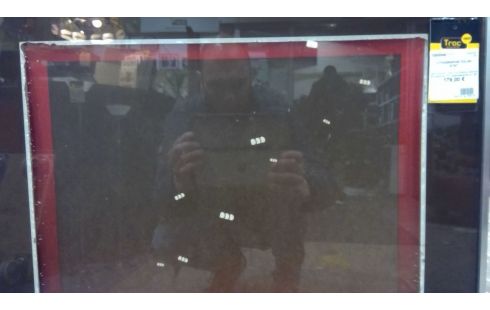 LITHOGRAPHIE FOLON ETAT