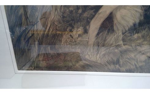 KADER PRENT WINDHONDEN AJ VANTHOF