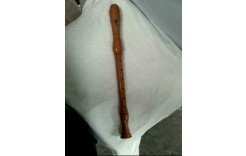 BLOCKFLÖTE +KOFFER <MOLLENHAUER> HOLZ