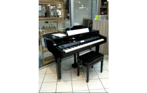 FLÜGEL DIG. <CLASSIC CANTABILE> GP-A 810