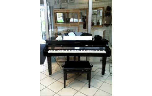 FLÜGEL DIG. <CLASSIC CANTABILE> GP-A 810