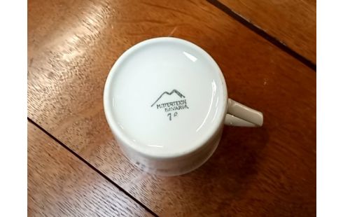 SERVICE A CAFE bavaria 12pers decor feuilles grise