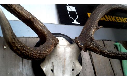 OBJETO DECORACIÓN, , CORNAMENTA DE CIERVO GRANDE