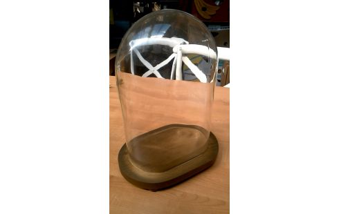 GLOBE GLACE OVALE PETIT