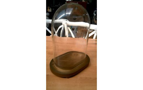 GLOBE GLACE OVALE PETIT