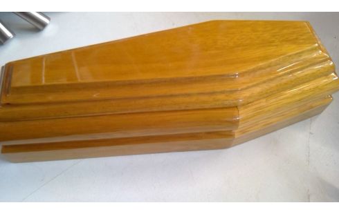 DOODSKISTJE PENNENBAKJE MINIATUUR