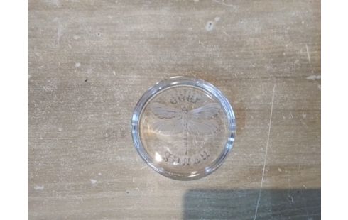 PRESSE PAPIER LIBELLULE