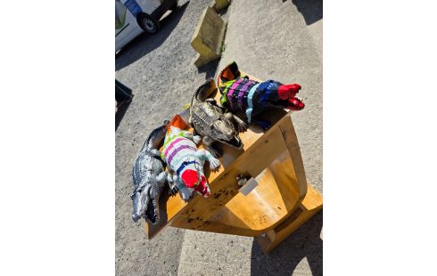 57 STATUE CROCODILE 40 CM