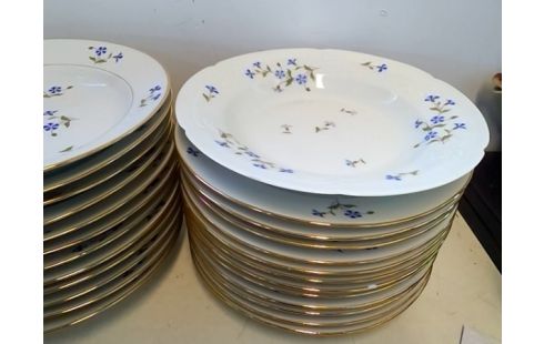 LOT D'ASSIETTES LIMOGES + PLATS ET SALADIER