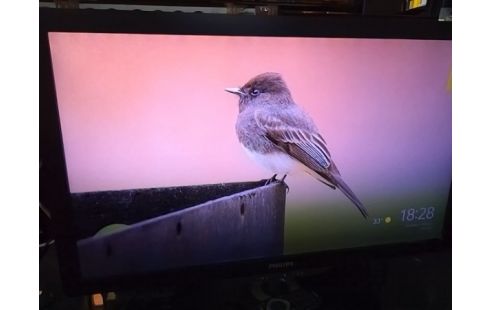 TELEVISEUR PHILIPS 81CM / FULL HD / DALLE 100HZ / TV CONNECTEE CABLE