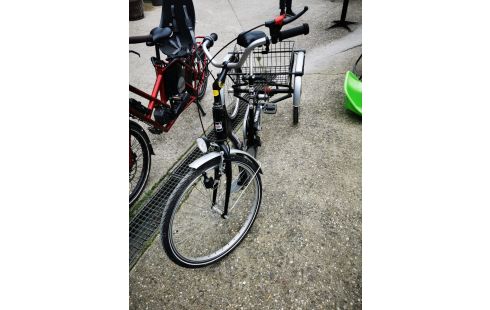 TRICYCLE adulte Pfautec gmbh