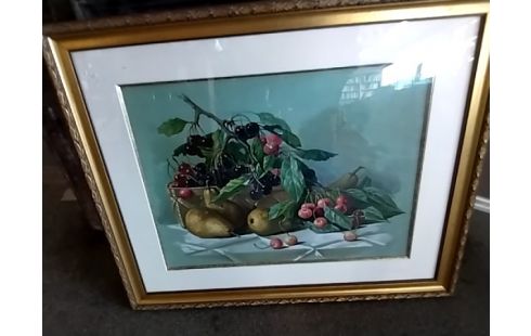 CADRE SOUS VERRE NATURE MORTE