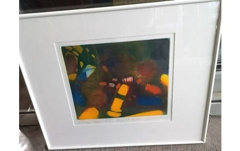 CADRE SOUS VERRE EPREUVE D ARTISTE WILLIBRORD HAAS