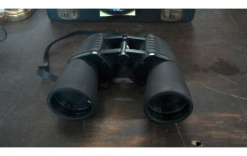 GEMELOS ESTADO ACTUAL