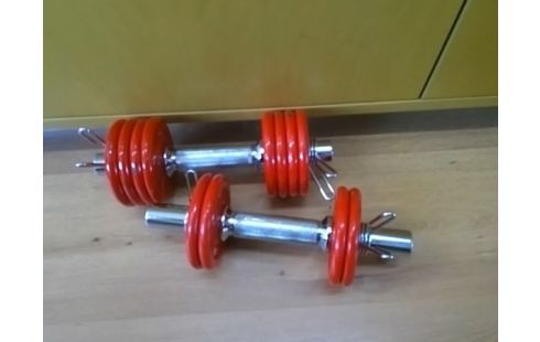 PAIRE D'HALTERE POIDS DE 12x0.5KG