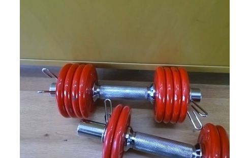 PAIRE D'HALTERE POIDS DE 12x0.5KG