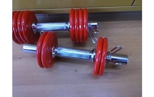 PAIRE D'HALTERE POIDS DE 12x0.5KG