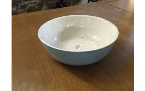 PLAT VILLEROY ET BOCH