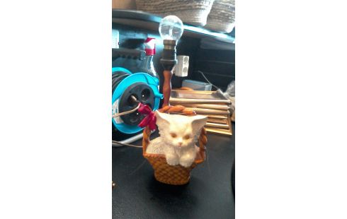 LAMPE TIRELIRE CHAT