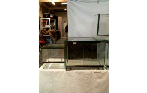 TERRARIUM GLAS 5-GEHEGE BELEUCHTET