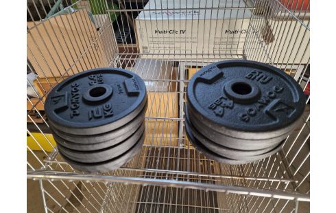 HALTERES GM + 2 PETITS + ATTACHES + 52 KGS DE POIDS