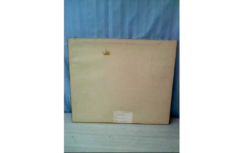 AQUARELL I.R. SIGNIERT <<SUMPFLANDSCHAFT>>