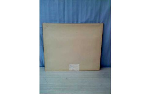 AQUARELL I.R. SIGNIERT <<SUMPFLANDSCHAFT>>