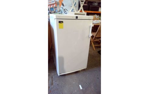 CONGELATEUR LIEBHERR 4T