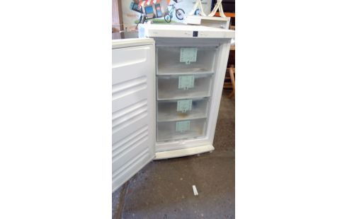 CONGELATEUR LIEBHERR 4T