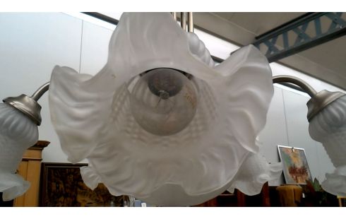 LÁMPARA DE TECHO RAMA ESTERA HIELO