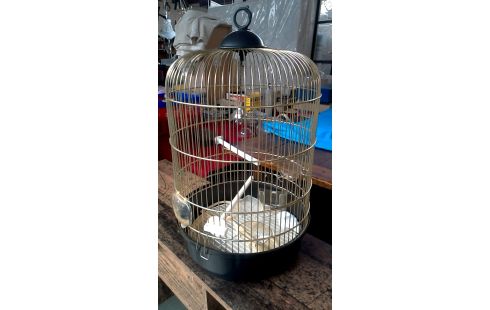 VOGELKOOI. ROND