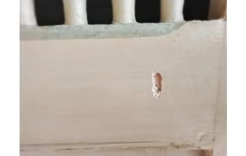 ARMOIRE 2 PORTES DECO PEINTE+cle