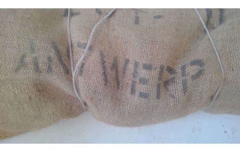 PATTATTEZAK  ANTWERP X 10