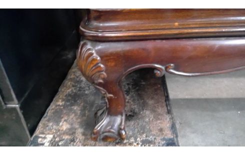 ETALAGEKAST WORTELFINEER QUEEN ANN