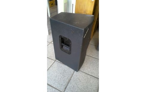 ENCEINTE SONO BST WILDER W12 EN L'ETAT