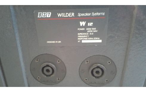 ENCEINTE SONO BST WILDER W12 EN L'ETAT